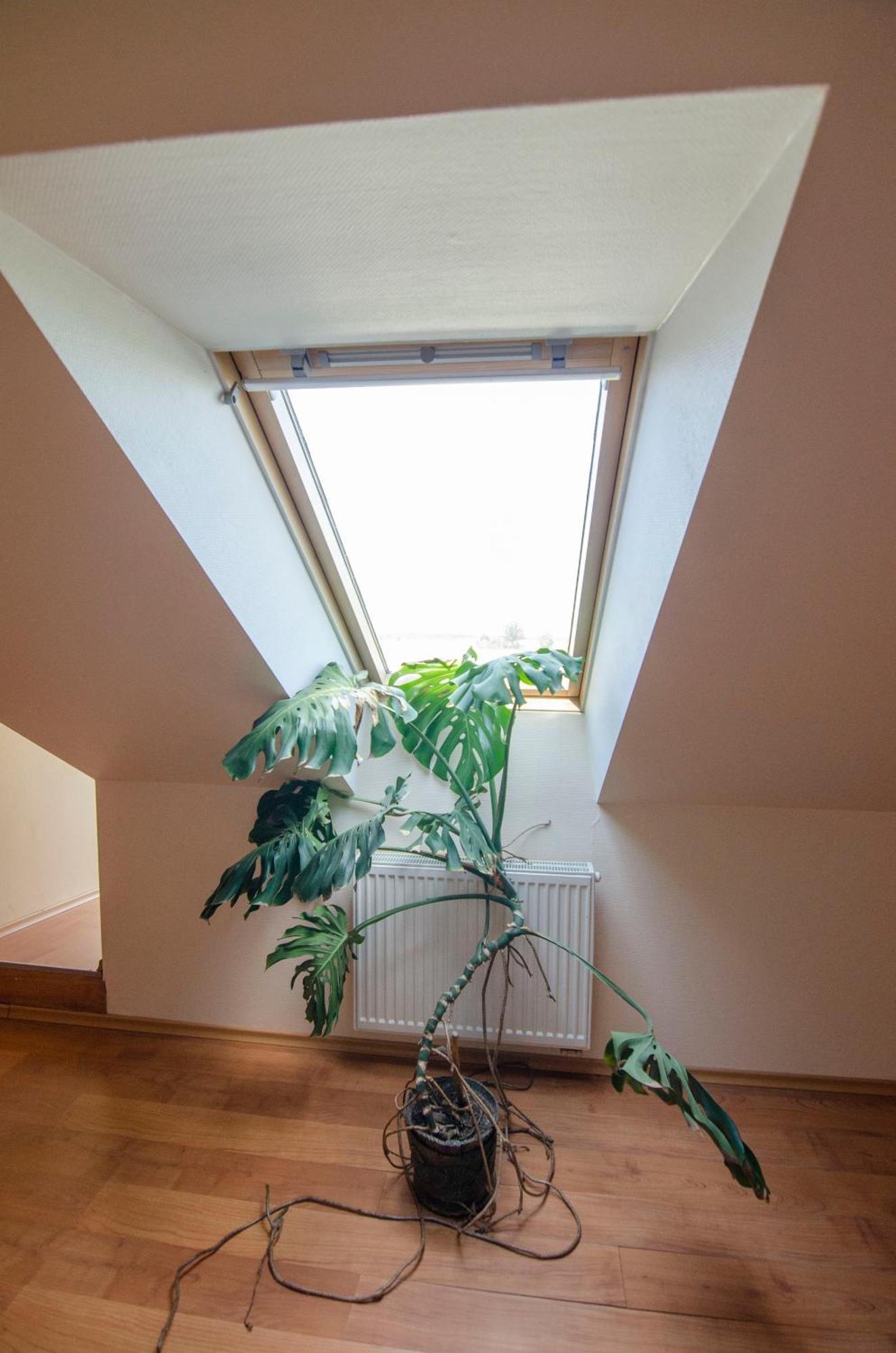 Pasienis Pasvaliečiai Exteriér fotografie